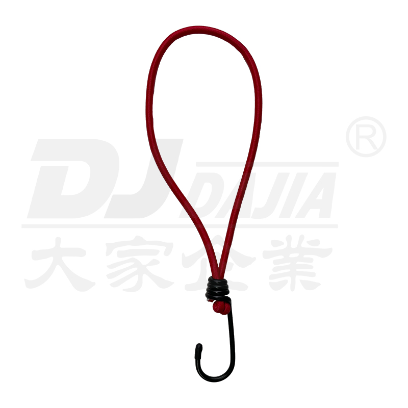 1 "(25mm) 500 كجم 5M Ratchet Transporter Transporter transporter