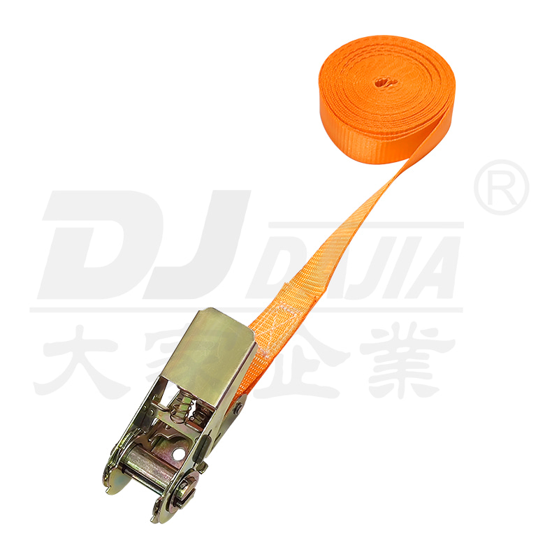 1 "(25mm) 500 كجم 5M Ratchet Transporter Transporter transporter