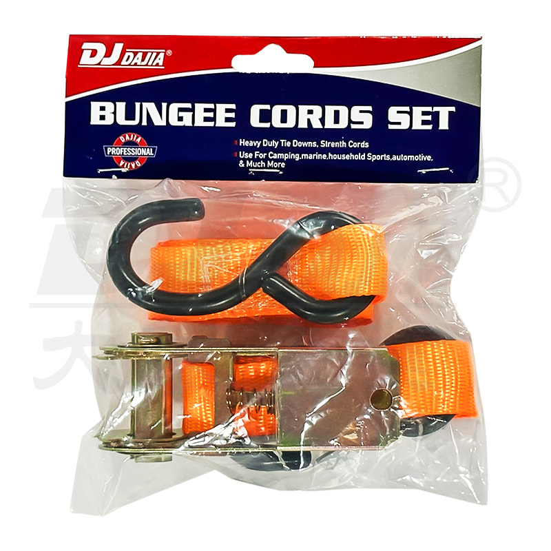 1 "(25mm) 500 كجم 5M Ratchet Transporter Transporter transporter